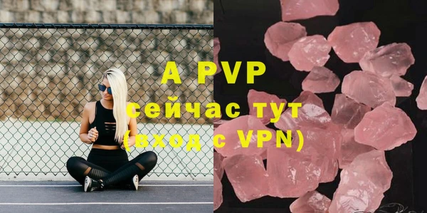 дживик Сатка
