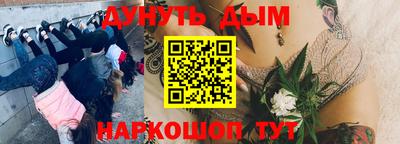 spice Балахна