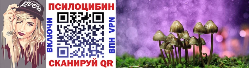 Галлюциногенные грибы Psilocybine cubensis  купить  цена  Верхняя Салда 