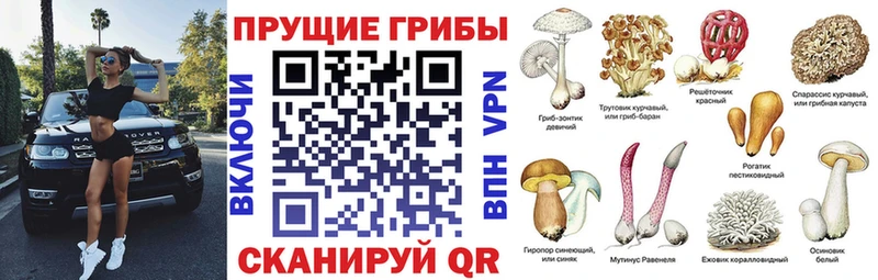 Псилоцибиновые грибы прущие грибы Верхняя Салда