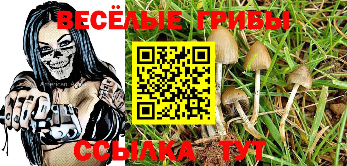 Псилоцибиновые грибы Cubensis Верхняя Салда