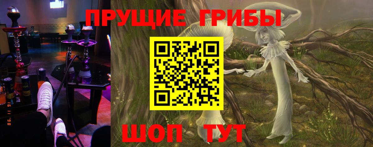 Галлюциногенные грибы мухоморы  Верхняя Салда 